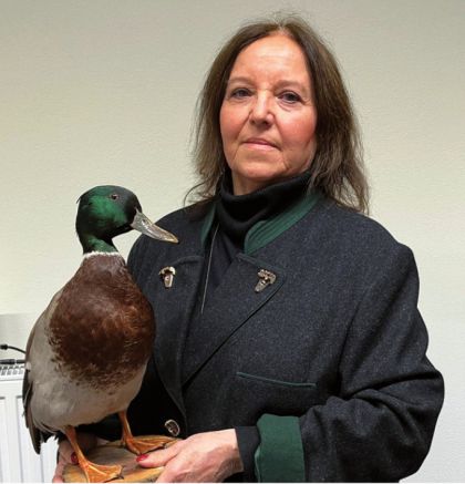 Eva Geissinger mit männlichem Stockenten Präparat